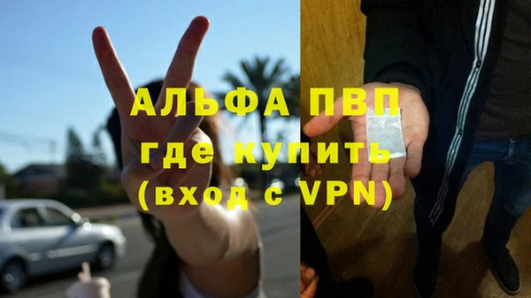 шишки Горнозаводск
