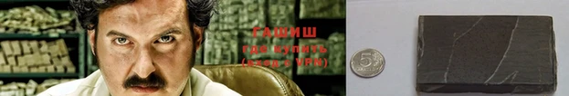 спайс Гусев