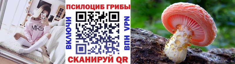 где найти   Таганрог  Галлюциногенные грибы Psilocybine cubensis 